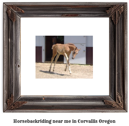 horseback riding near me in Corvallis, Oregon